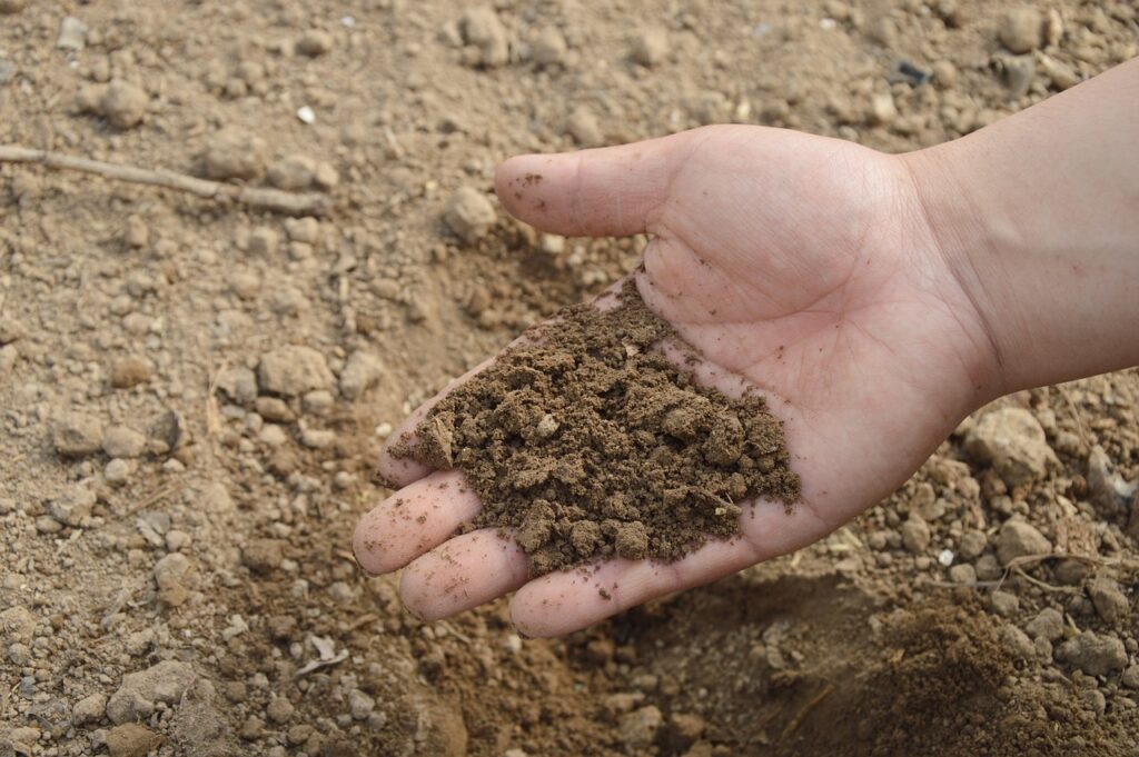 soil, nature, hand-766281.jpg